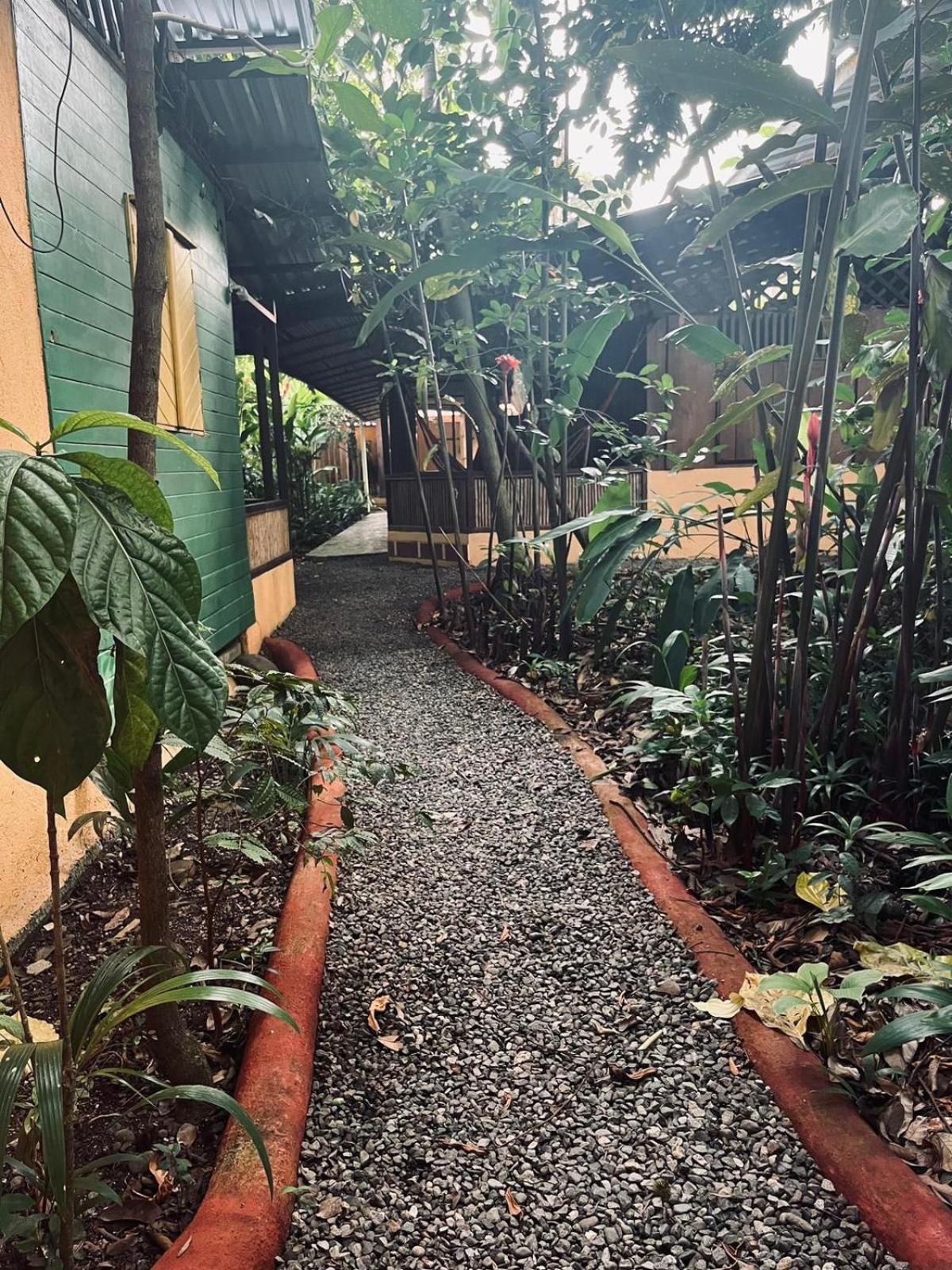 فيلا La Casa De Rolando Puerto Viejo de Talamanca المظهر الخارجي الصورة